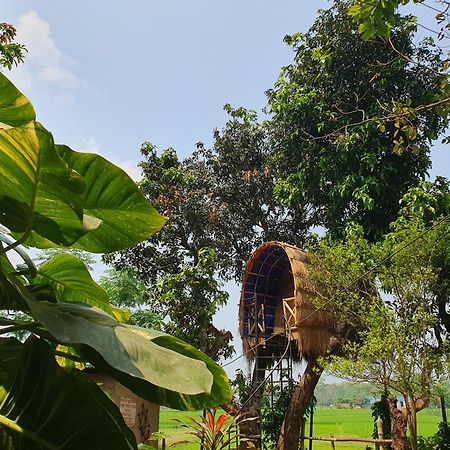 Pemsee'S Tree Town - Eco-Friendly,Tree House Hostel Sauraha Esterno foto
