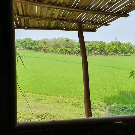 Pemsee'S Tree Town - Eco-Friendly,Tree House Hostel Sauraha Esterno foto