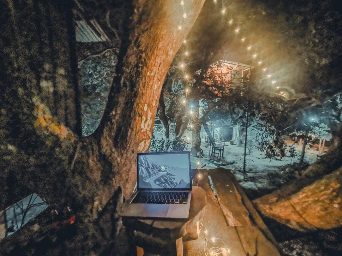 Pemsee'S Tree Town - Eco-Friendly,Tree House Hostel Sauraha Esterno foto