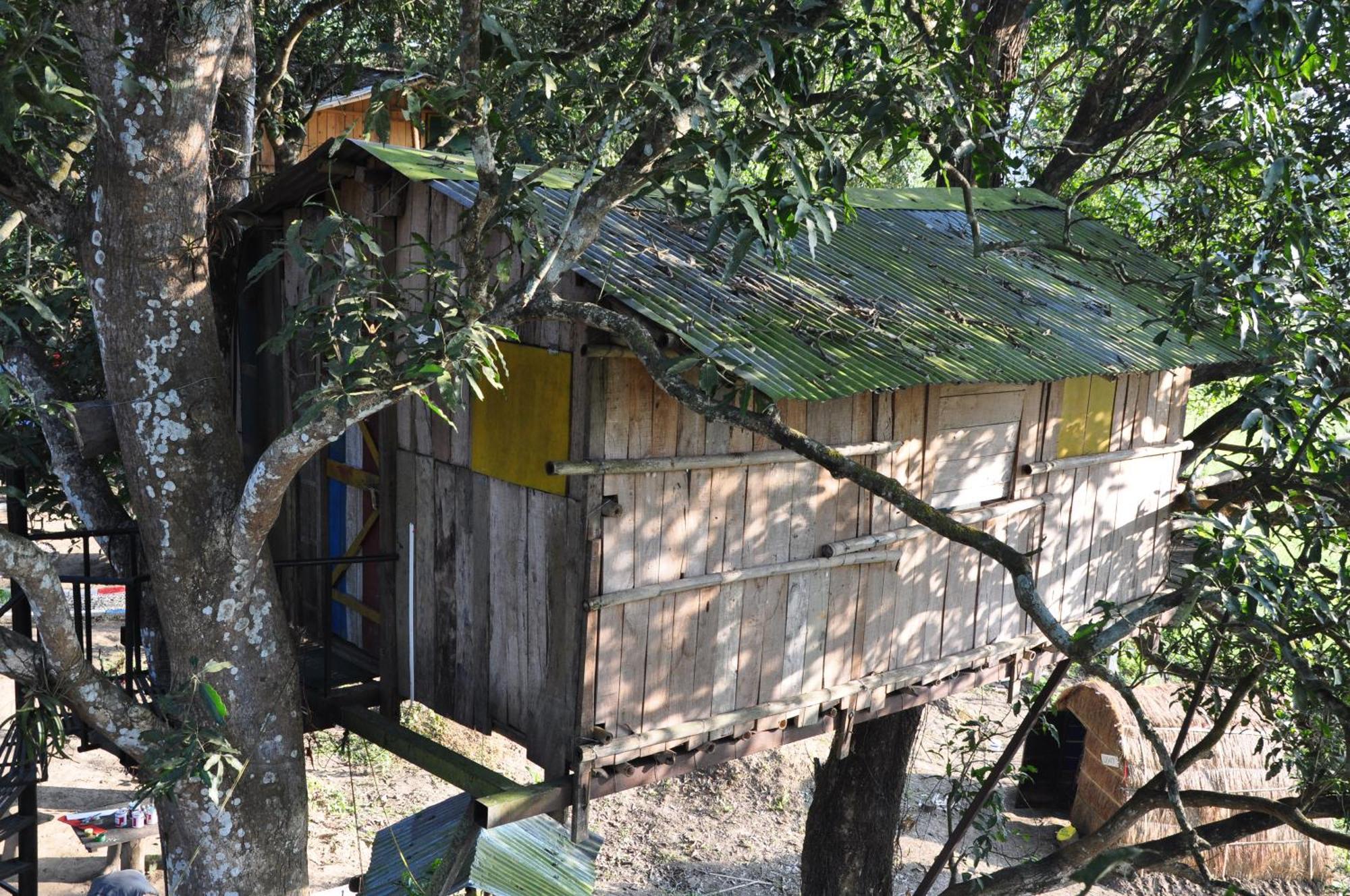 Pemsee'S Tree Town - Eco-Friendly,Tree House Hostel Sauraha Esterno foto