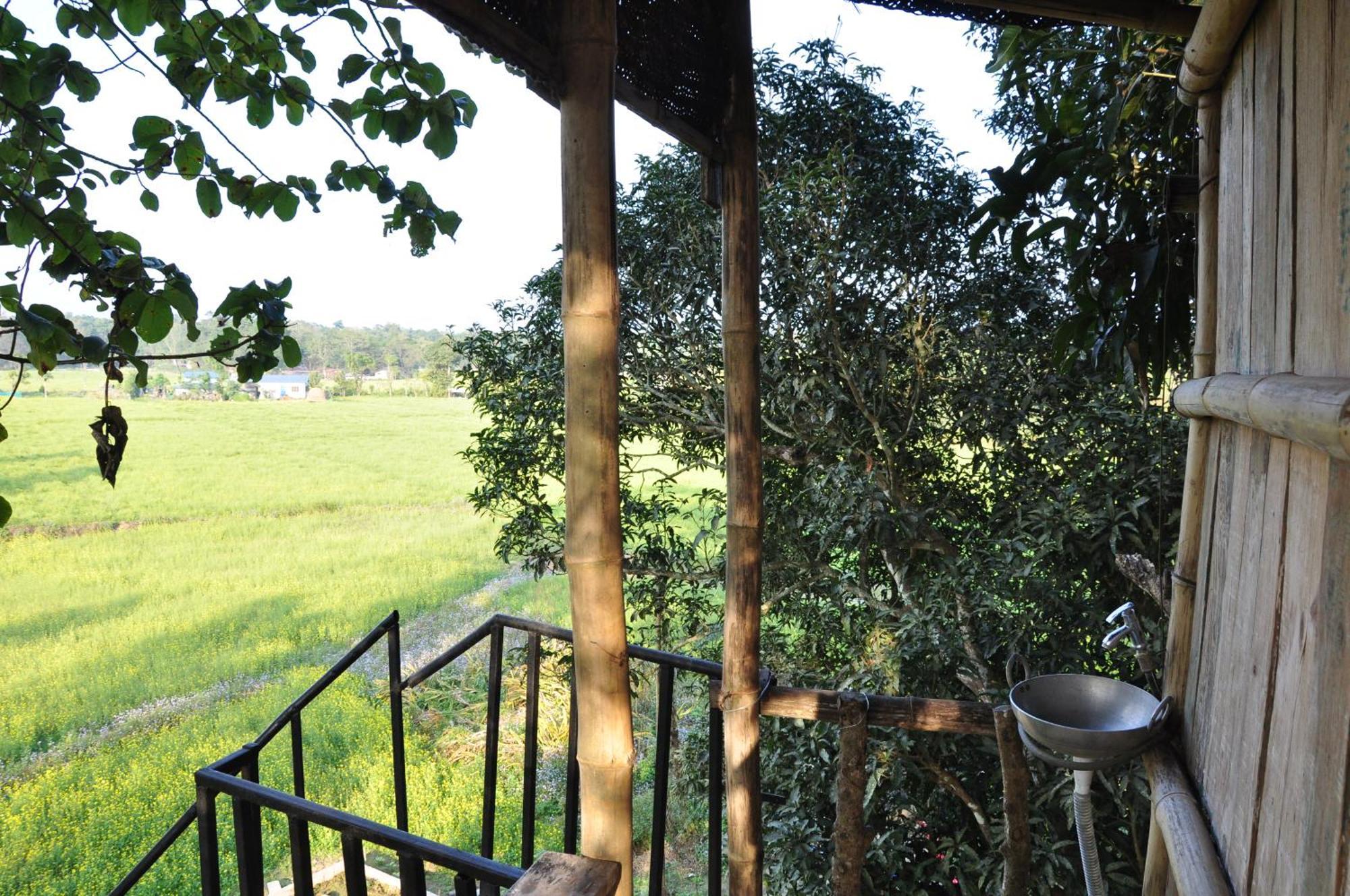 Pemsee'S Tree Town - Eco-Friendly,Tree House Hostel Sauraha Esterno foto