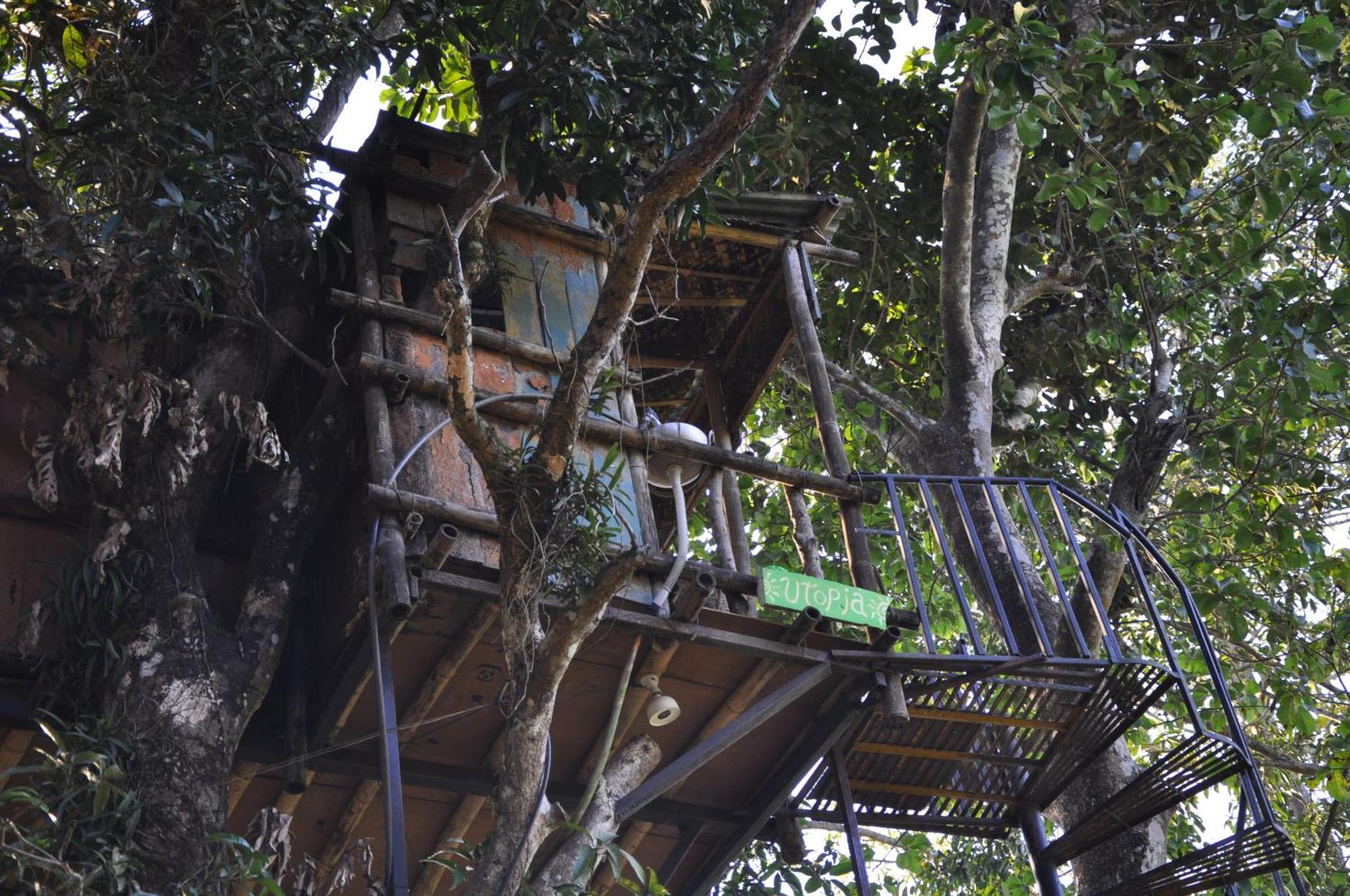 Pemsee'S Tree Town - Eco-Friendly,Tree House Hostel Sauraha Esterno foto