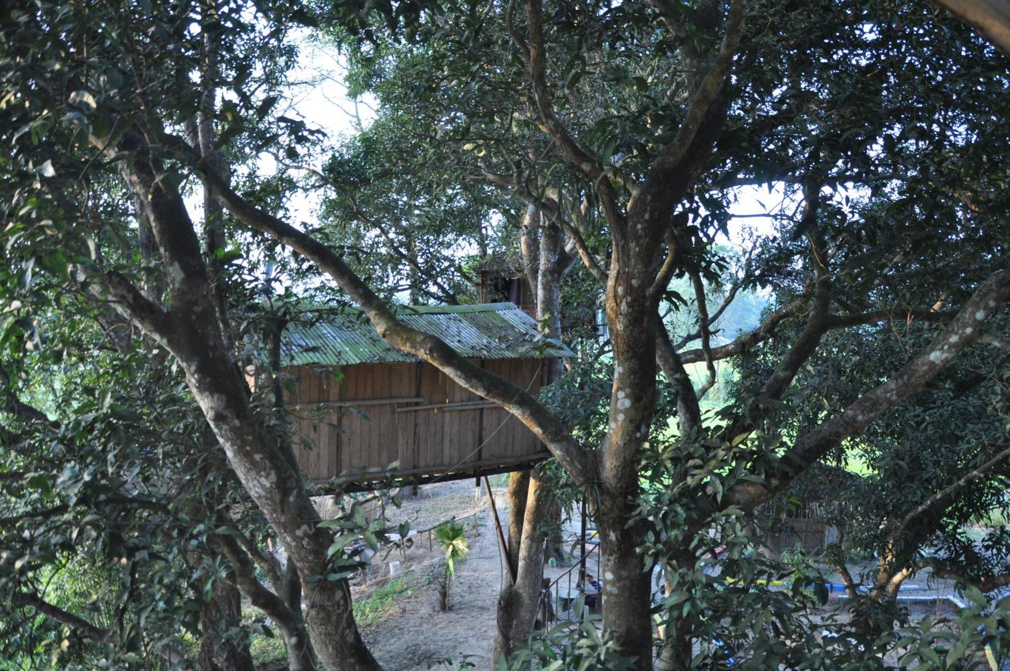 Pemsee'S Tree Town - Eco-Friendly,Tree House Hostel Sauraha Esterno foto