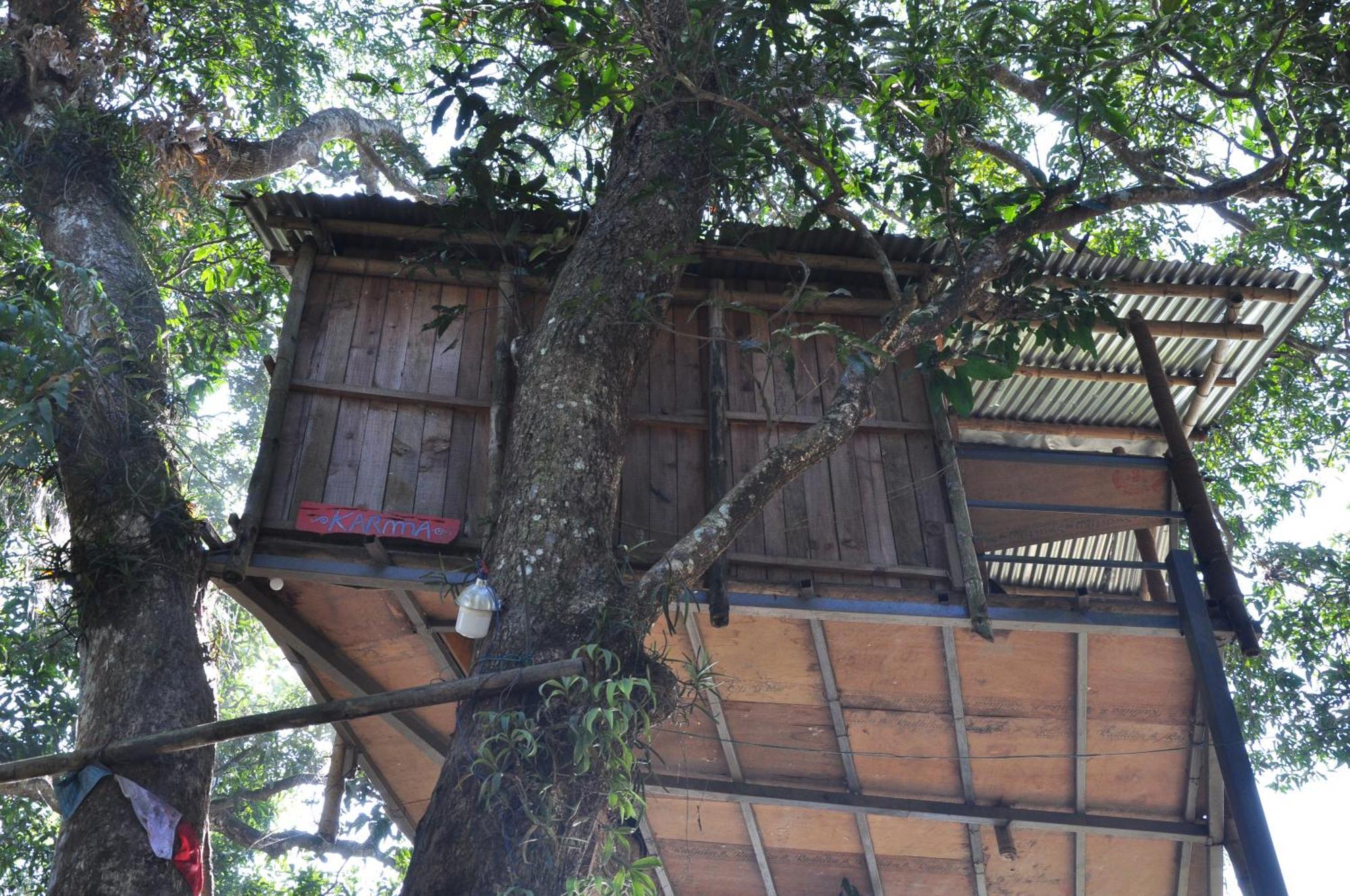 Pemsee'S Tree Town - Eco-Friendly,Tree House Hostel Sauraha Esterno foto