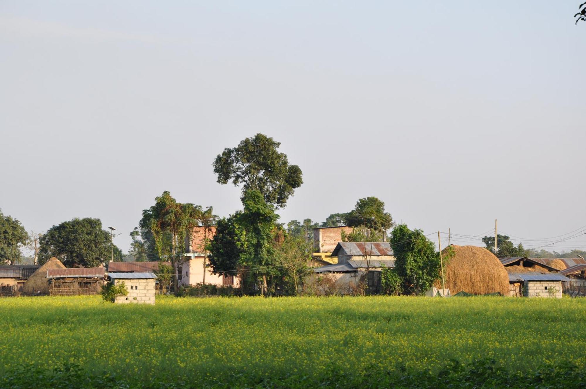 Pemsee'S Tree Town - Eco-Friendly,Tree House Hostel Sauraha Esterno foto