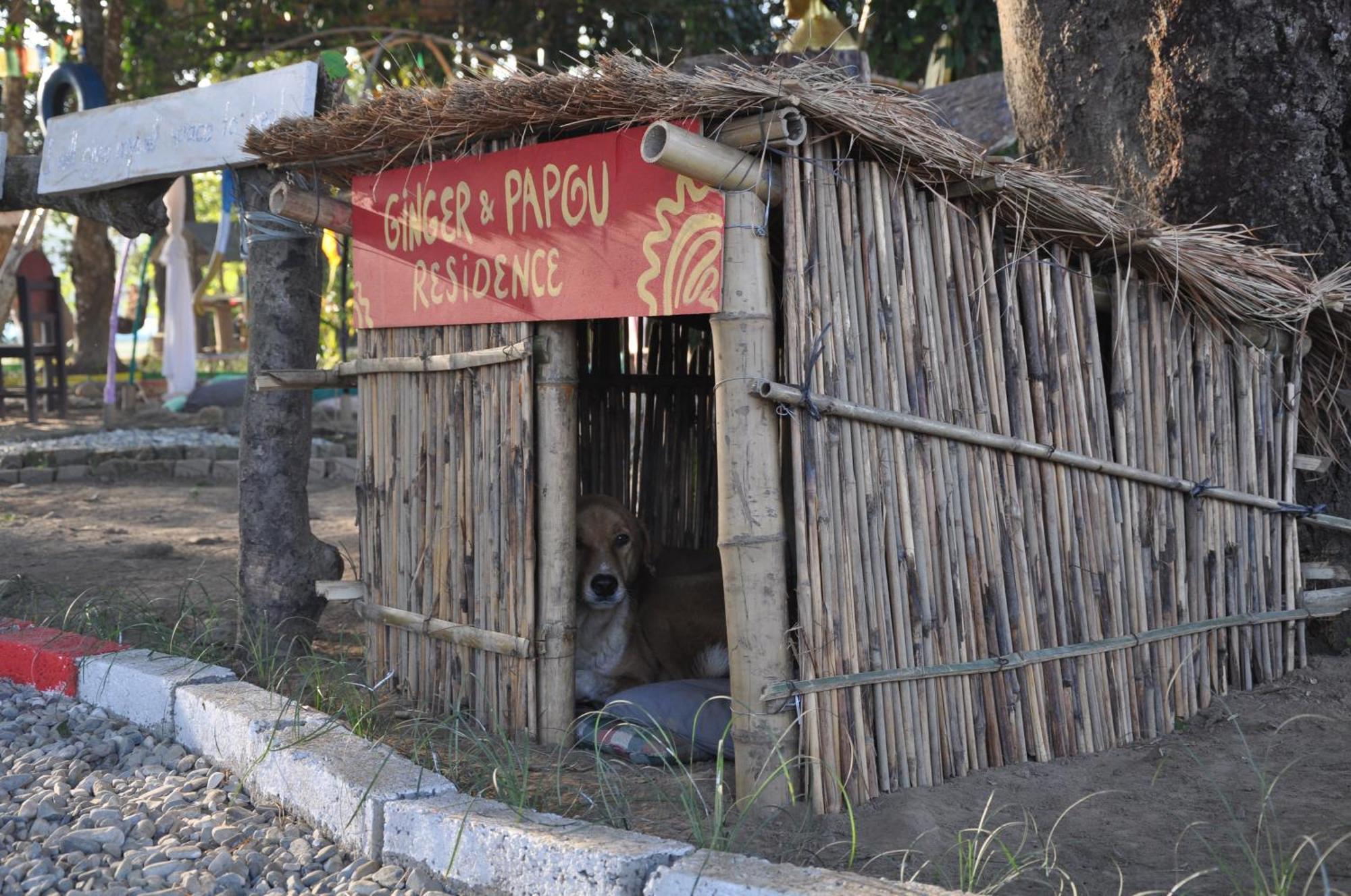 Pemsee'S Tree Town - Eco-Friendly,Tree House Hostel Sauraha Esterno foto