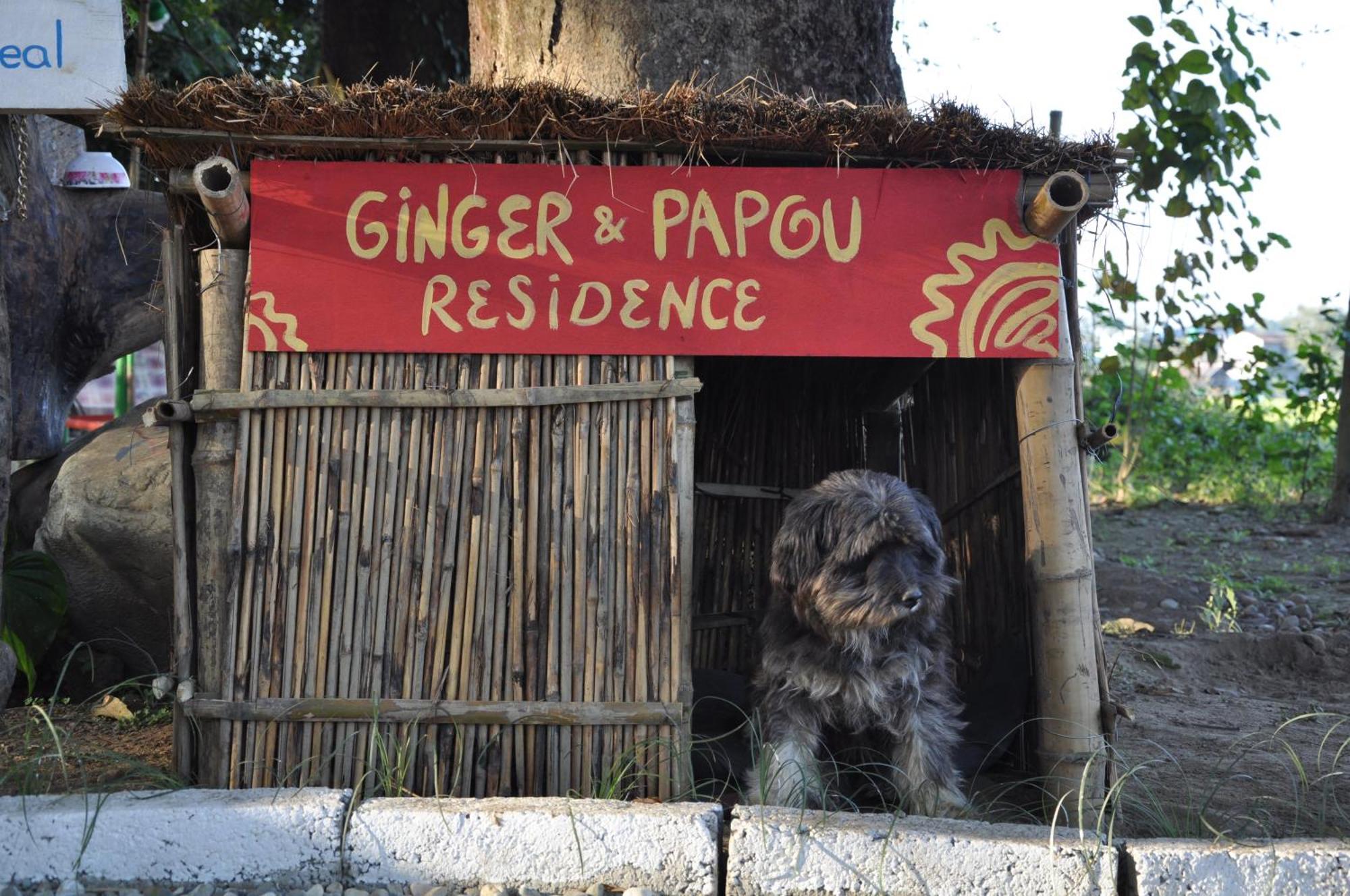Pemsee'S Tree Town - Eco-Friendly,Tree House Hostel Sauraha Esterno foto