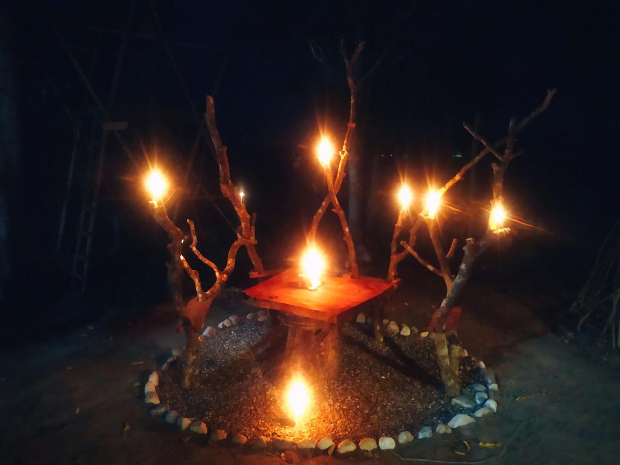 Pemsee'S Tree Town - Eco-Friendly,Tree House Hostel Sauraha Esterno foto