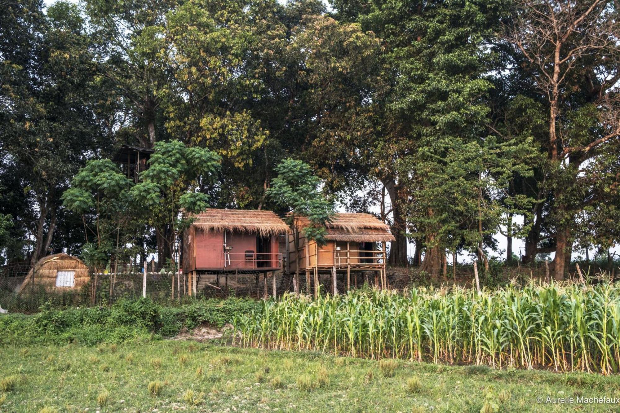 Pemsee'S Tree Town - Eco-Friendly,Tree House Hostel Sauraha Esterno foto