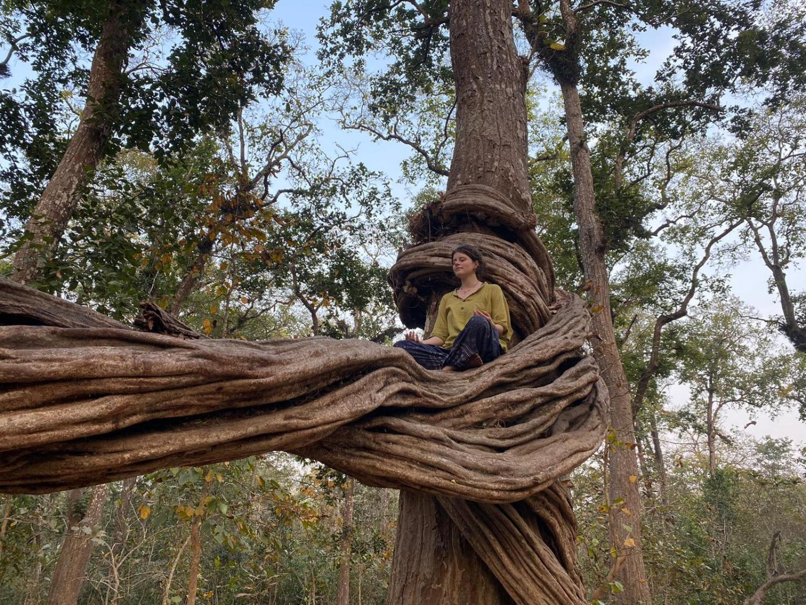 Pemsee'S Tree Town - Eco-Friendly,Tree House Hostel Sauraha Esterno foto