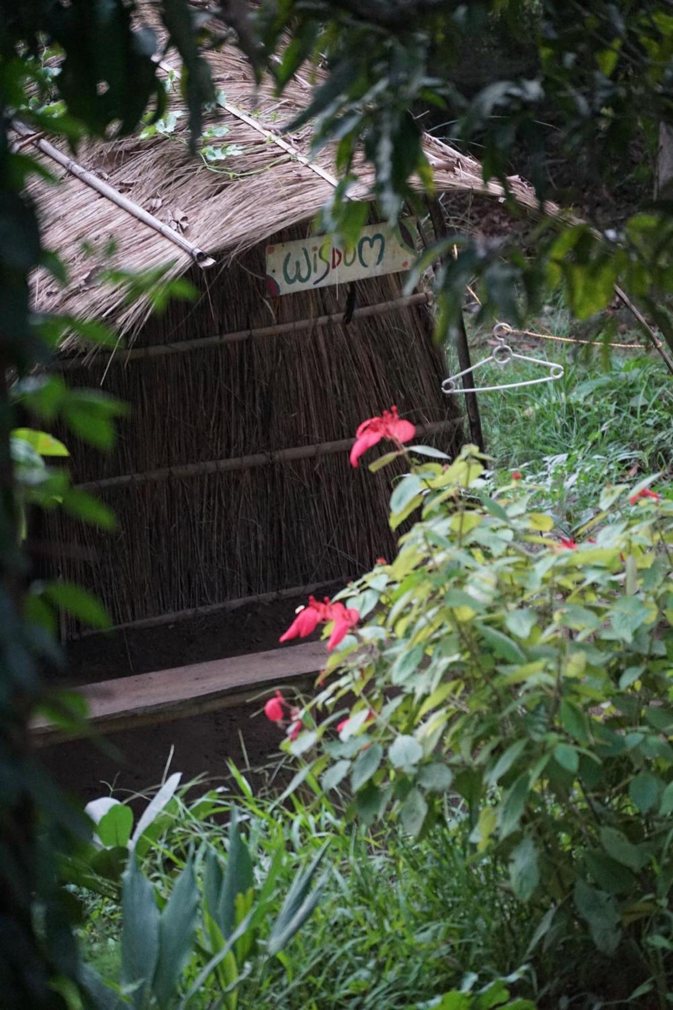 Pemsee'S Tree Town - Eco-Friendly,Tree House Hostel Sauraha Esterno foto