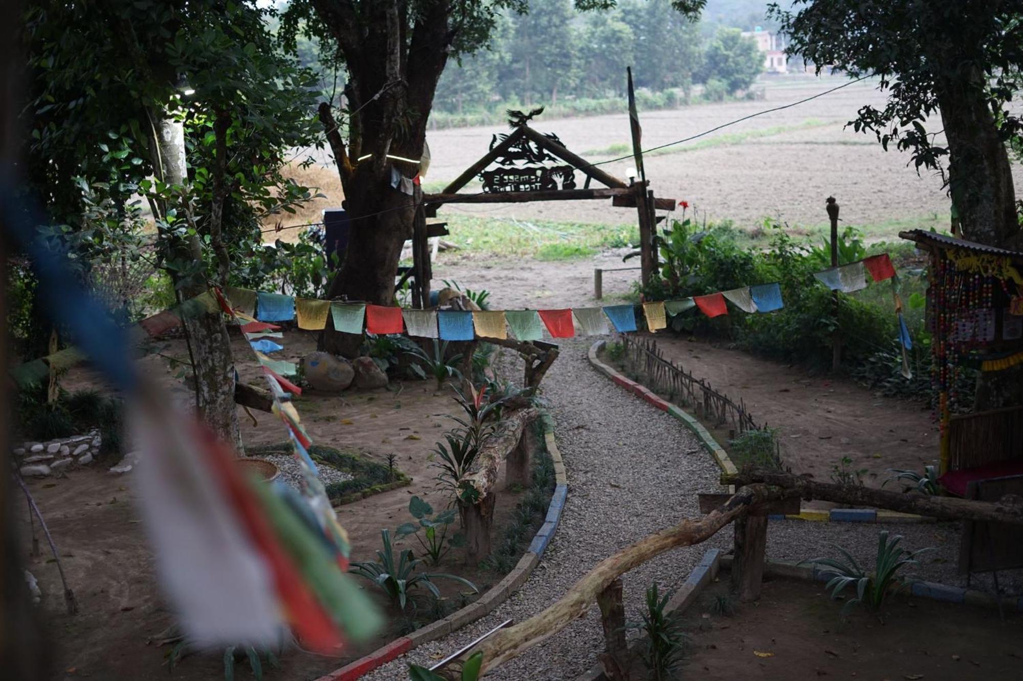 Pemsee'S Tree Town - Eco-Friendly,Tree House Hostel Sauraha Esterno foto