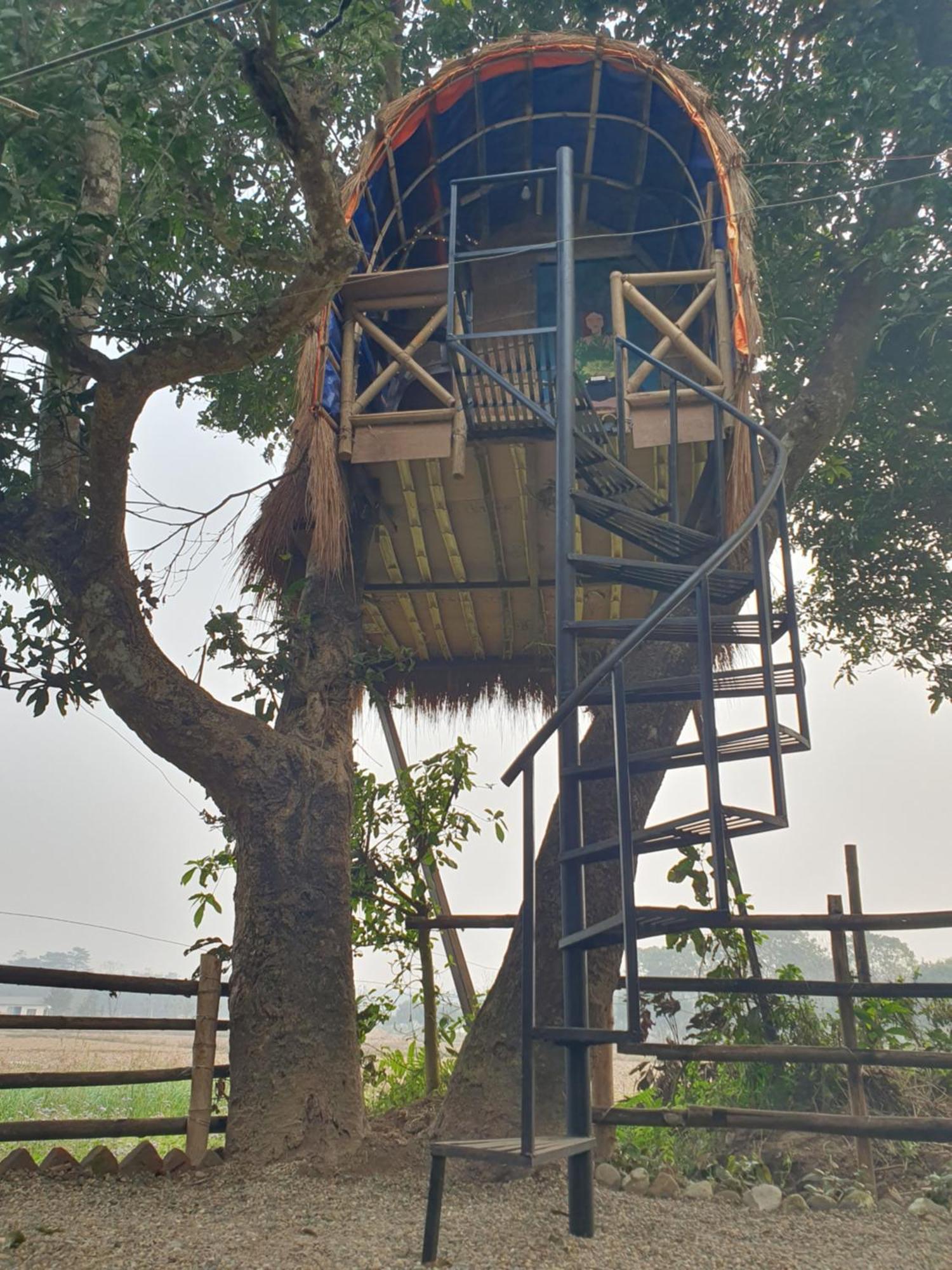 Pemsee'S Tree Town - Eco-Friendly,Tree House Hostel Sauraha Esterno foto