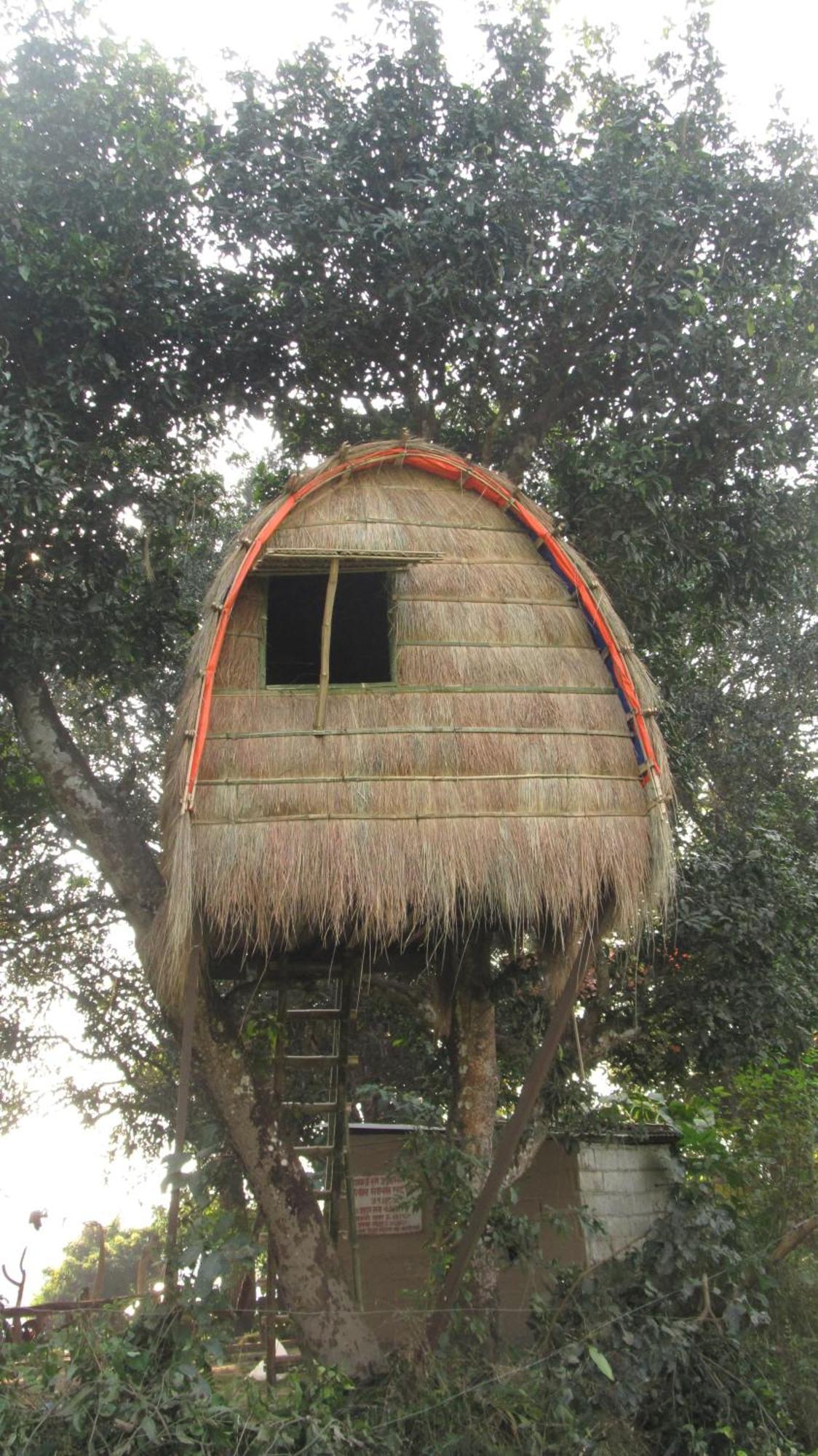 Pemsee'S Tree Town - Eco-Friendly,Tree House Hostel Sauraha Esterno foto