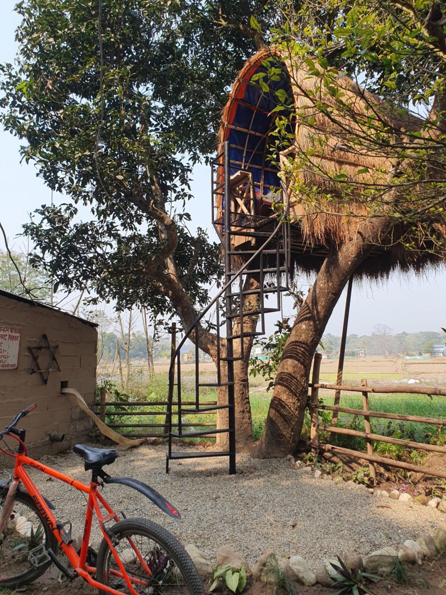 Pemsee'S Tree Town - Eco-Friendly,Tree House Hostel Sauraha Esterno foto