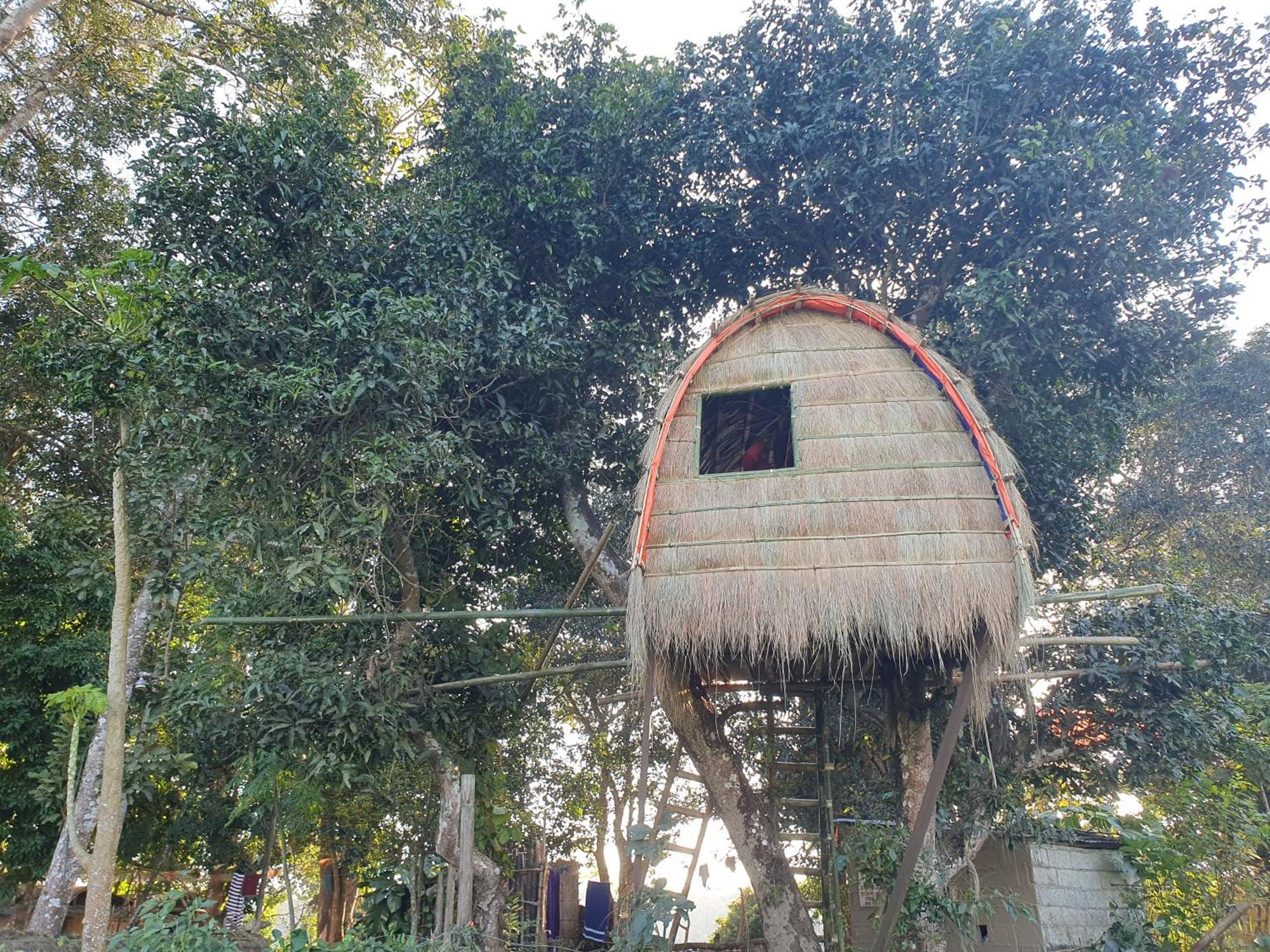 Pemsee'S Tree Town - Eco-Friendly,Tree House Hostel Sauraha Esterno foto