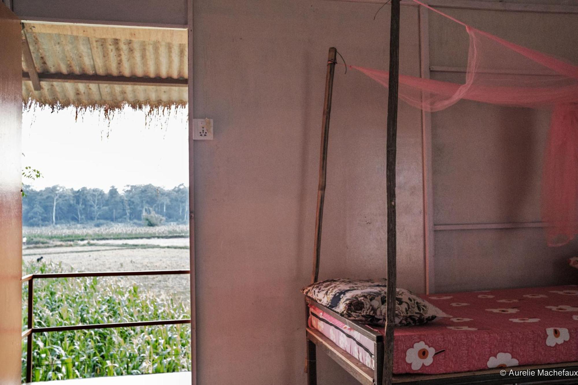 Pemsee'S Tree Town - Eco-Friendly,Tree House Hostel Sauraha Esterno foto